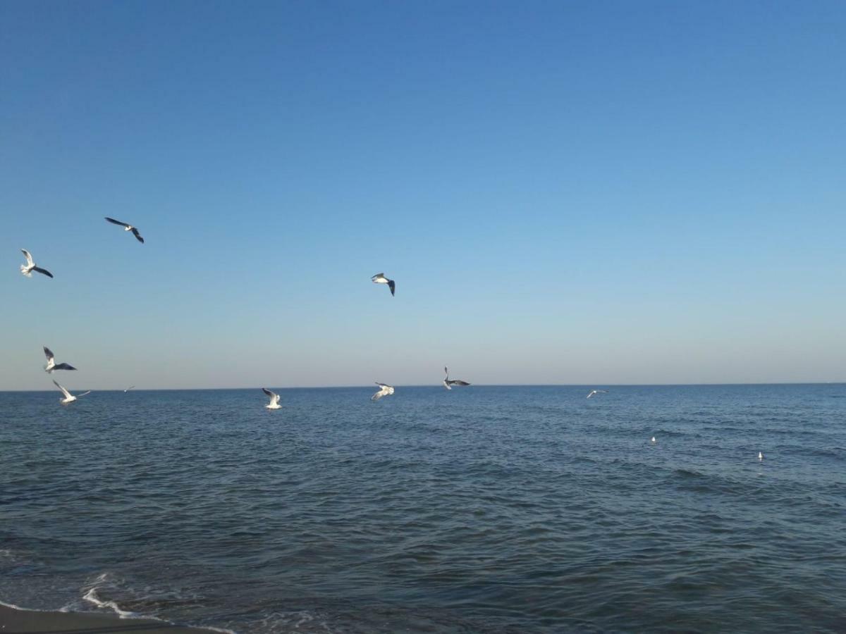 Kuestenwilla Fewo Usedom Зиновиц Екстериор снимка